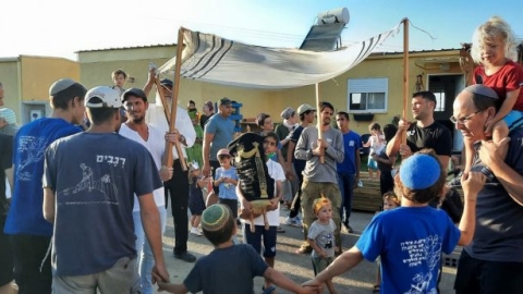 מיטל-768x346.jpg
